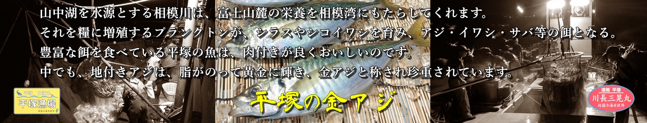 平塚市漁業協同組合