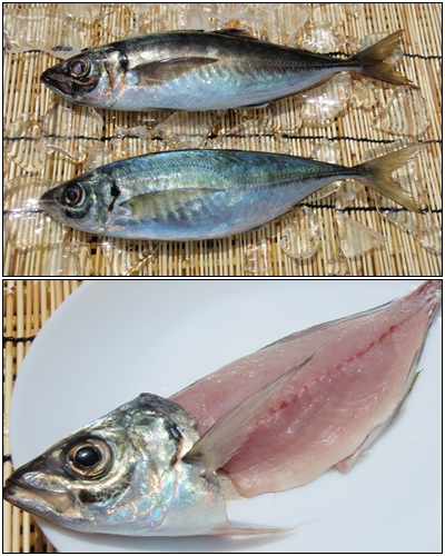 平塚の金アジと黒アジ比較 | 平塚市漁業協同組合